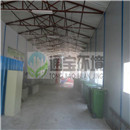 ����̎��S����ܳ������g