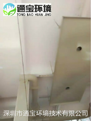 ����̎��Sؓ�������c����